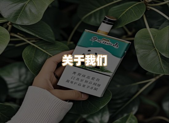 关于金鹤网